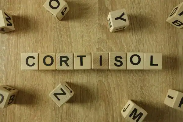Image saying "Cortisol" and how stress Southampton 	 impacts your wellbeing and bodies shape